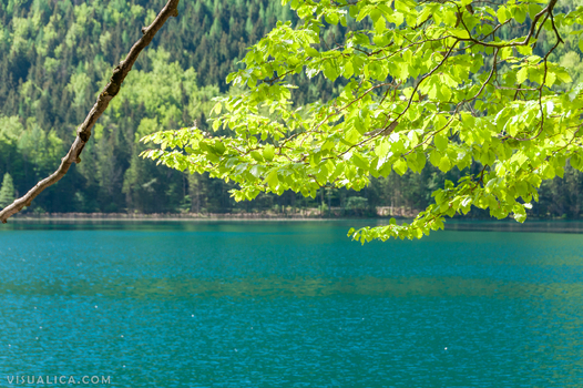 Schwarzensee OÖ