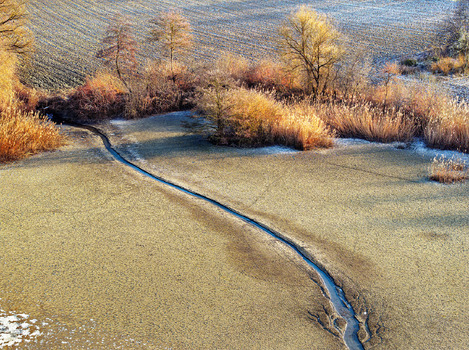 Am Teich im Feld