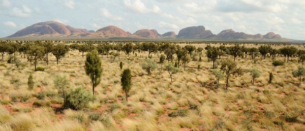 The Olgas