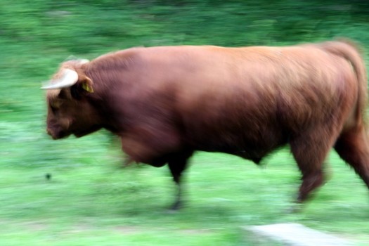 Power in motion