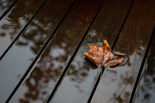 Im Garten kommt langsam der Herbst