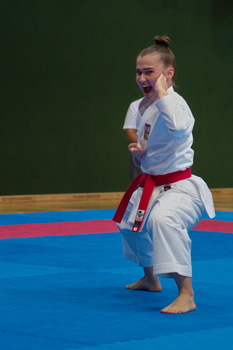 Karate WM 7