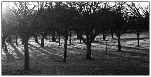 Licht & Schatten