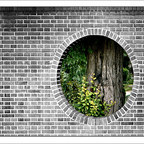 Urbane Vegetation