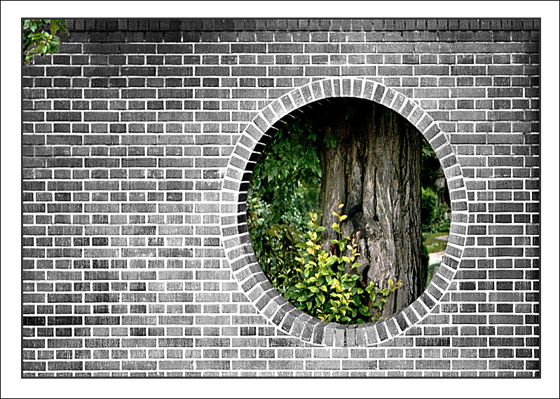 Urbane Vegetation