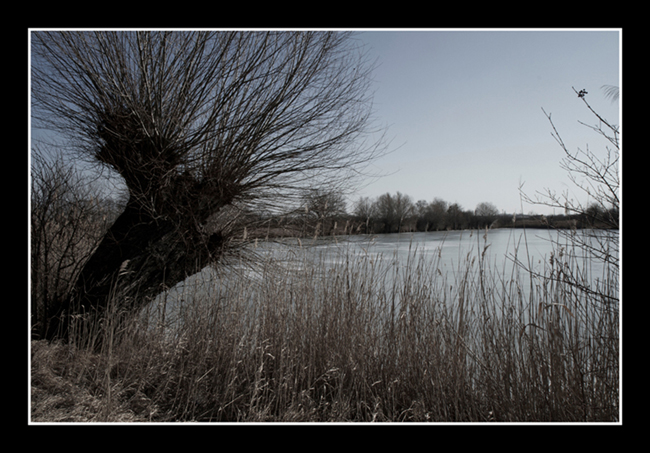 Schönauer Teich 2