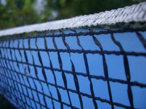 ping pong