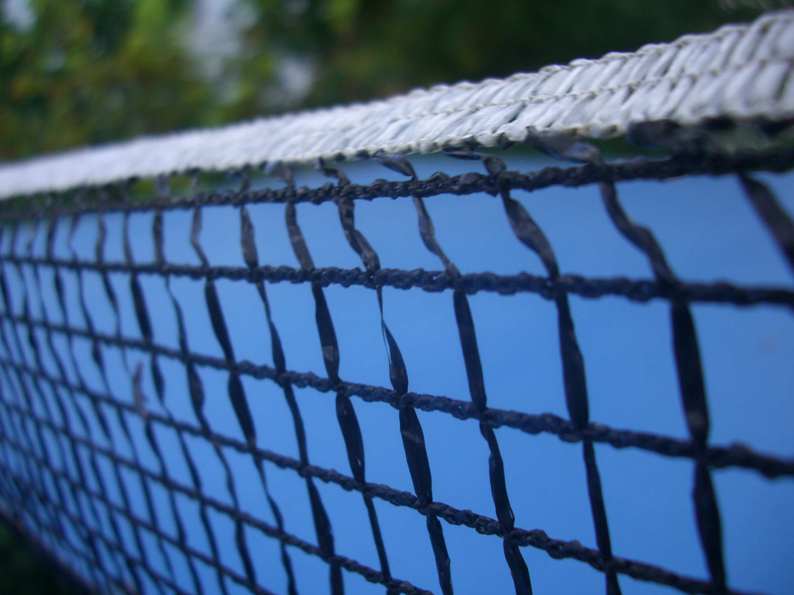 ping pong