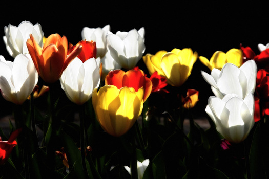 Frühling