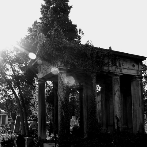 es lebe der zentralfriedhof5