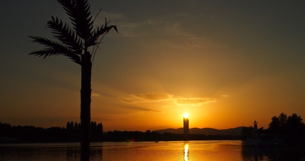 Donauinsel-MC