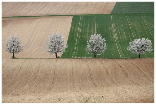 wunderbares Weinviertel