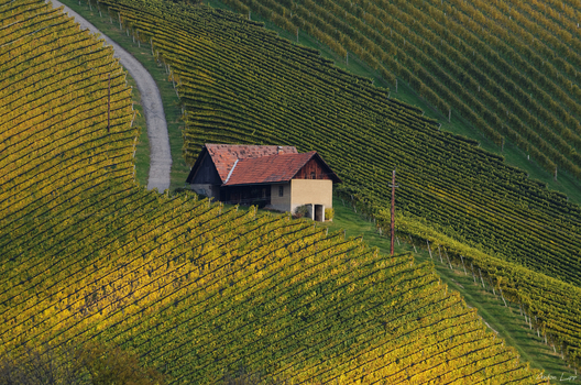 Südsteiermark