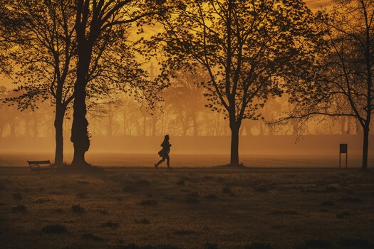 Jogger im Park am Morgen