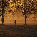 Jogger im Park am Morgen