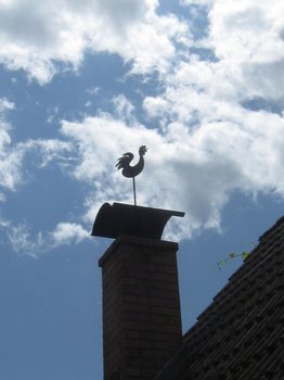 wetterhahn