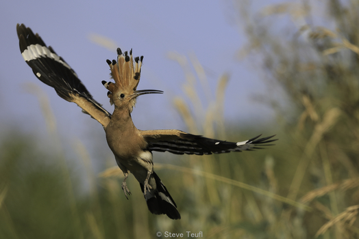 Abflug