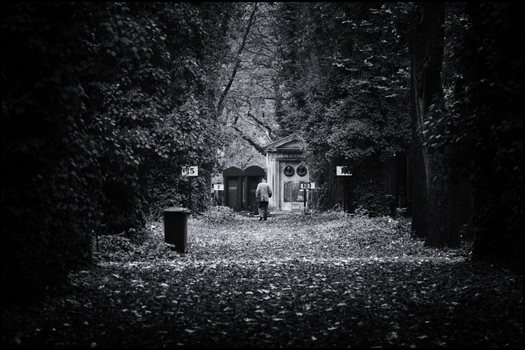 Transition