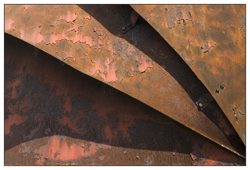 Rost