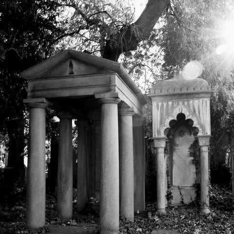es lebe der zentralfriedhof3