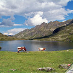 Giglachsee
