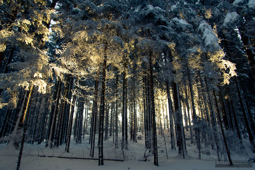 Märchenland