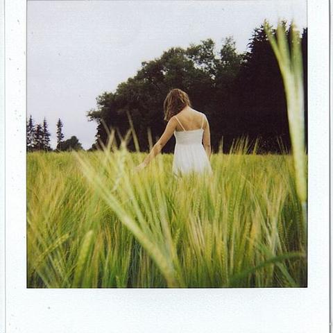 Polaroid I