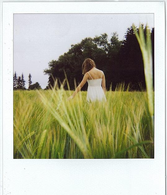 Polaroid I