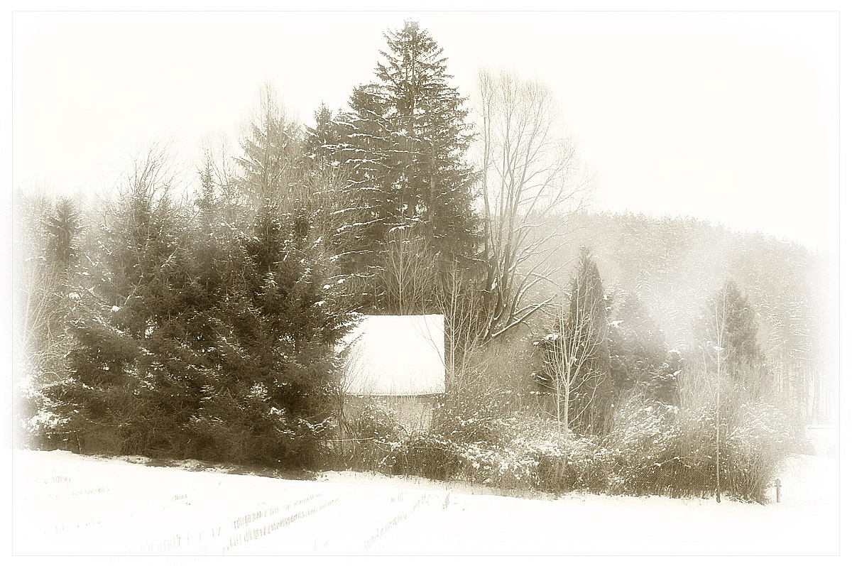 Winterlandscape