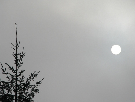 Sonne im Winternebel