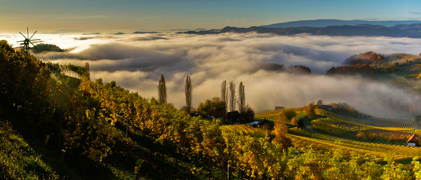 Südsteirisches Weinland