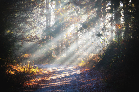 Herbstmorgen in Rudersdorf