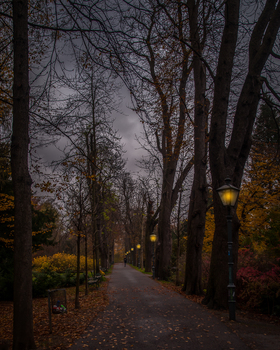 Abends im Stadtpark