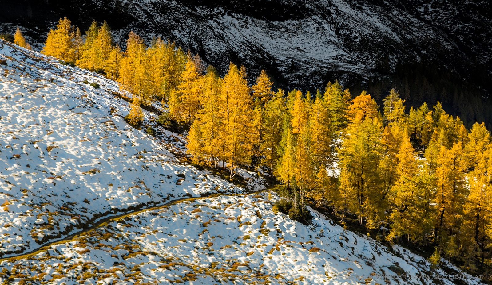 Herbstschnee in Farbe