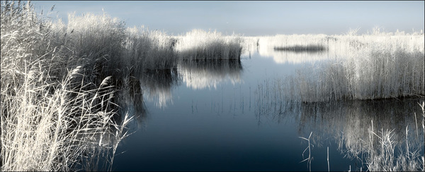 Neusiedler See