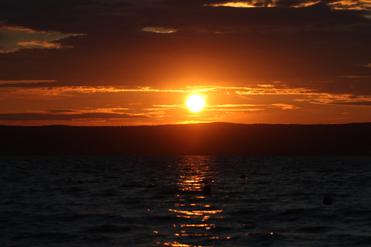 Sonnenuntergang am Neusiedlersee