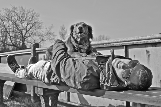 (K)ein bunter Hund
