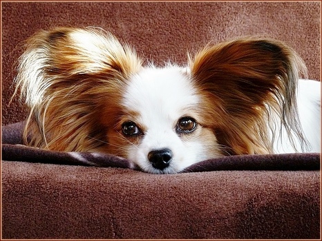 ich warte.......