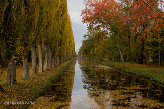 Autum Arrived