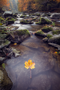 Herbst im Aschachtal