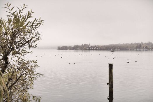 kalt und grau
