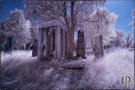 Ausflug Zentralfriedhof