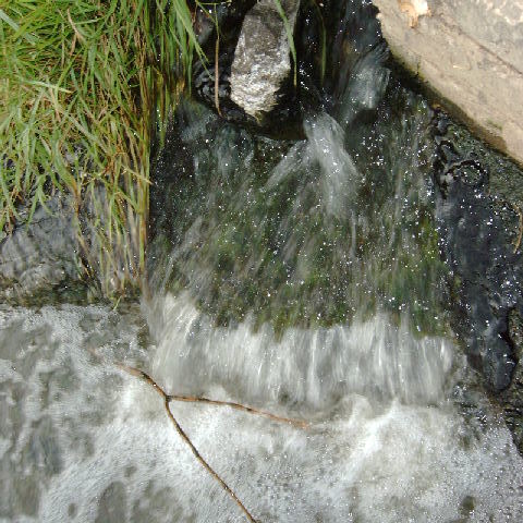 flut