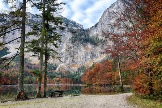Farbenrausch