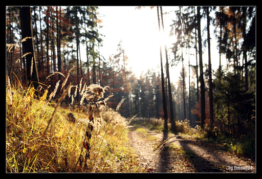 Herbstsonne