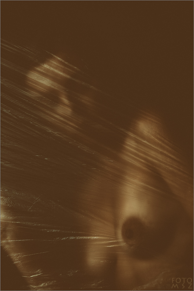 Aktportrait, foliert