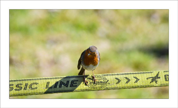 On the line 1