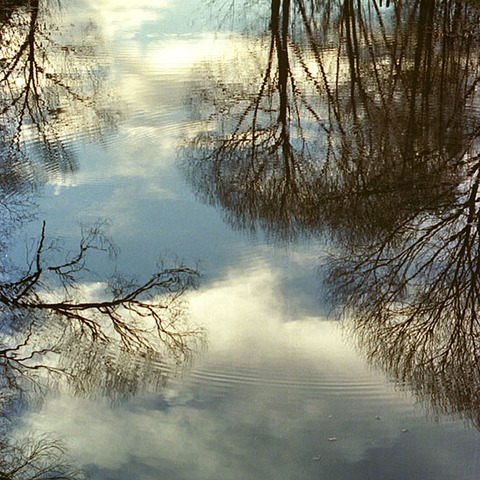 Spiegelung
