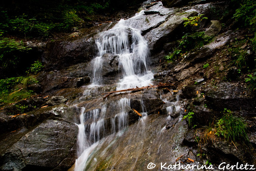 Wasser
