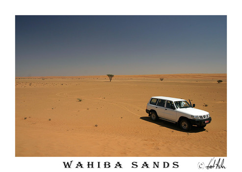 Wahiba Sands